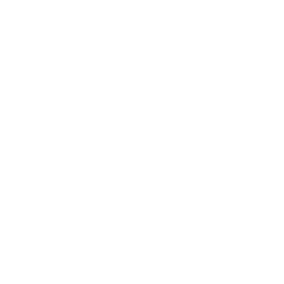 DAVL Studio